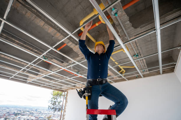 Best Plumbing Inspection Services  in Floresville, TX